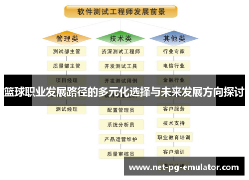 篮球职业发展路径的多元化选择与未来发展方向探讨