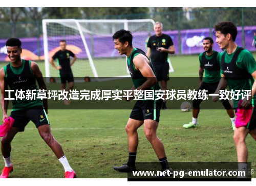 工体新草坪改造完成厚实平整国安球员教练一致好评