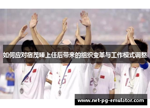 如何应对宿茂臻上任后带来的组织变革与工作模式调整 如何应对宿茂臻上任后带来的组织变革与工作模式调整