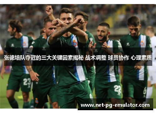 张德培队夺冠的三大关键因素揭秘 战术调整 球员协作 心理素质