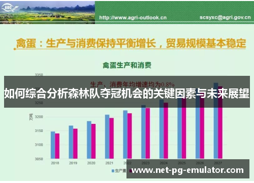 如何综合分析森林队夺冠机会的关键因素与未来展望