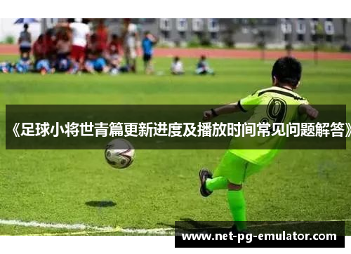 《足球小将世青篇更新进度及播放时间常见问题解答》
