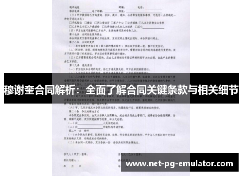 穆谢奎合同解析：全面了解合同关键条款与相关细节