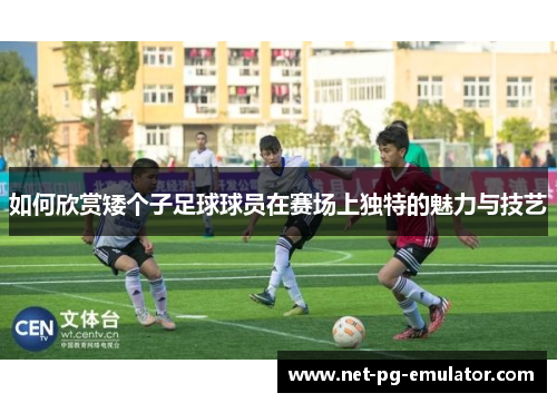 如何欣赏矮个子足球球员在赛场上独特的魅力与技艺 如何欣赏矮个子足球球员在赛场上独特的魅力与技艺