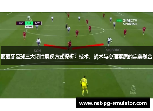 葡萄牙足球三大韧性展现方式探析:技术、战术与心理素质的完美融合 葡萄牙足球三大韧性展现方式探析:技术、战术与心理素质的完美融合