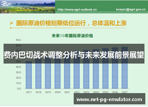 费内巴切战术调整分析与未来发展前景展望