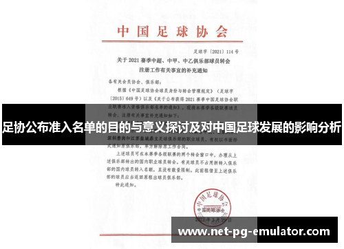 足协公布准入名单的目的与意义探讨及对中国足球发展的影响分析