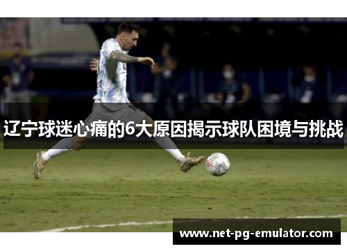 辽宁球迷心痛的6大原因揭示球队困境与挑战