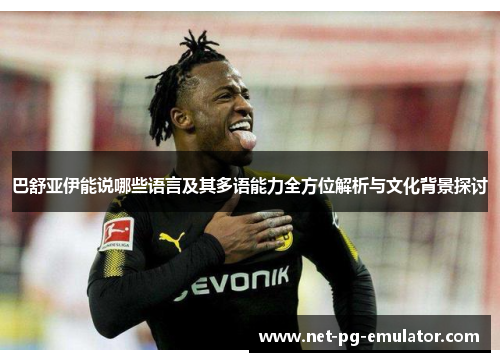巴舒亚伊能说哪些语言及其多语能力全方位解析与文化背景探讨