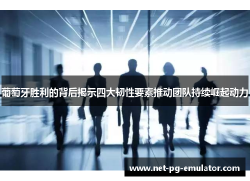 葡萄牙胜利的背后揭示四大韧性要素推动团队持续崛起动力